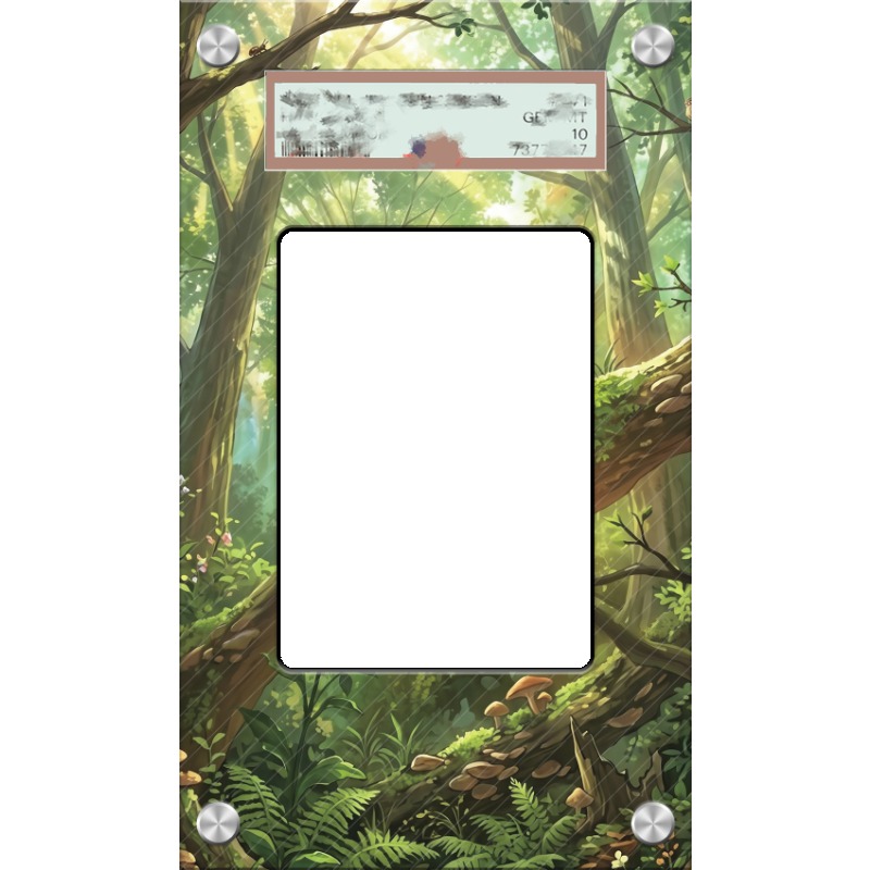 Art Display for Pokemon Chespi - Original Anime Merchandise review and price